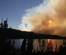 Fire